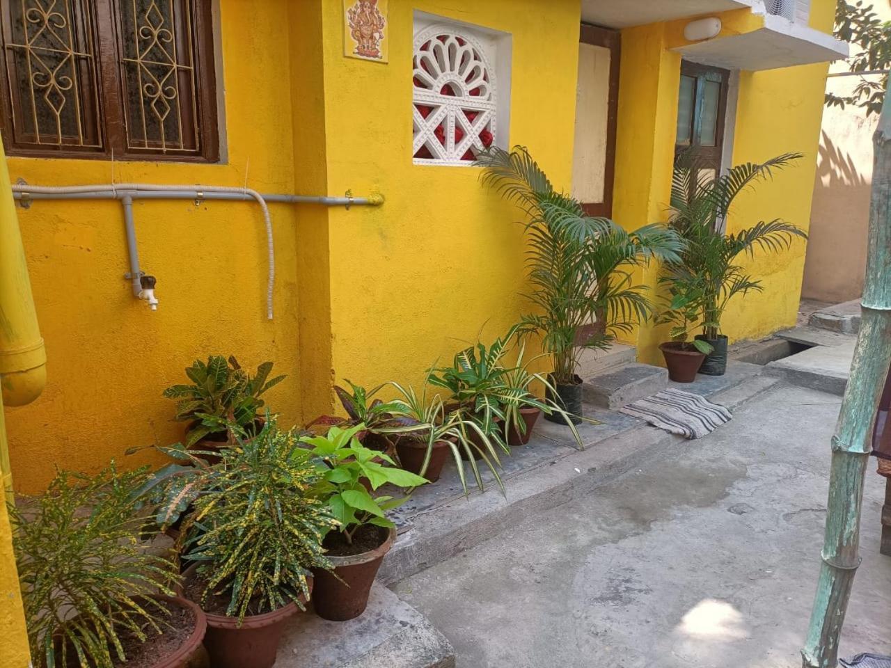 Nks Homestay ポンディシェリ エクステリア 写真